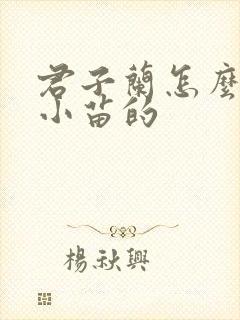 君子兰怎么繁殖小苗的