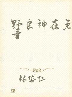 野良神在免费观看