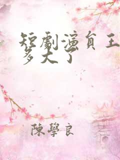 短剧演员王道铁多大了