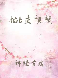 插b爽视频