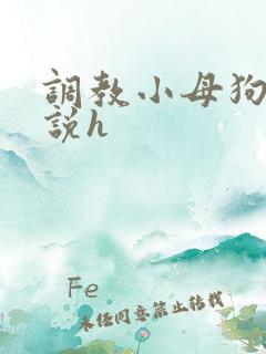 调教小母狗类小说h