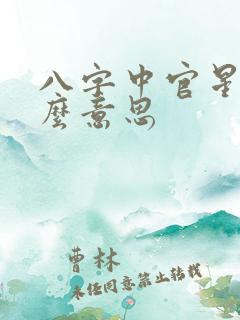 八字中官星是什么意思