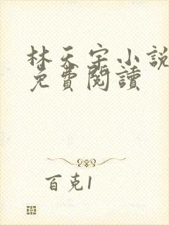 林天宇小说主角免费阅读