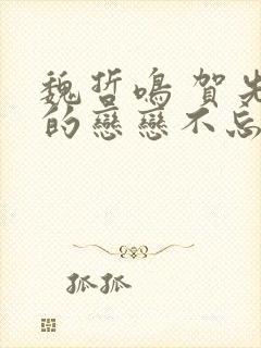 魏哲鸣 贺先生的恋恋不忘