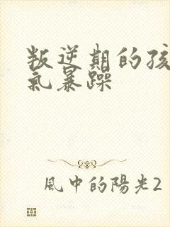 叛逆期的孩子脾气暴躁
