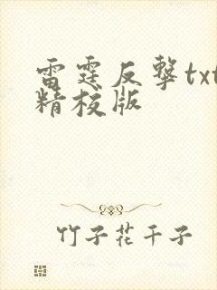 雷霆反击txt精校版