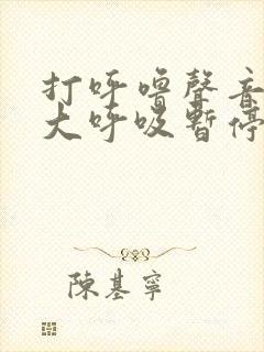 打呼噜声音特别大呼吸暂停怎么治