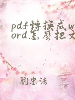 pdf转换成word怎么把文字的框去掉