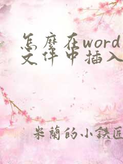 怎么在word文件中插入pdf文件
