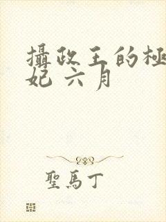 摄政王的极品医妃 六月