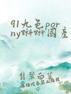 91九色porny蝌蚪国产