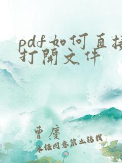 pdf如何直接打开文件