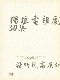 独狼电视剧全集30集
