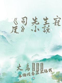 《司先生宠妻无度》小说
