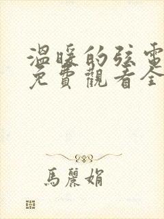 温暖的弦电视剧免费观看全集
