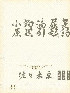 小狗滴尿是什么原因引起的