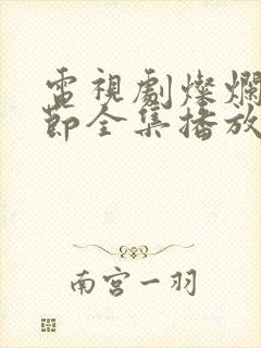 电视剧灿烂的季节全集播放免费观看