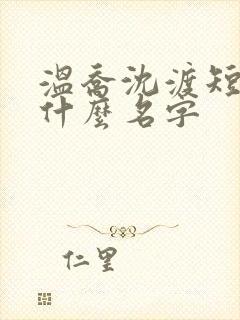 温乔沈渡短剧叫什么名字