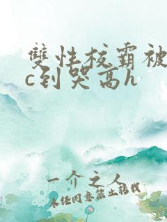 双性校霸被学霸c到哭高h
