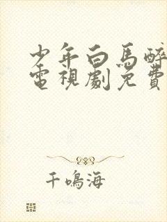 少年白马醉春风电视剧免费观看全集在线播放
