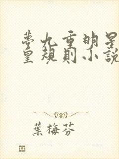 梦九重明星之潜皇规则小说