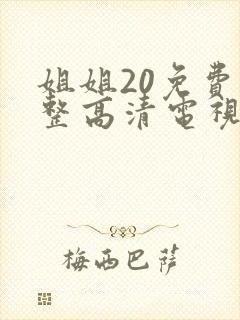 姐姐20免费完整高清电视剧在线看