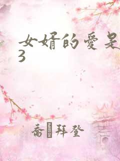 女婿的爱是岳母3