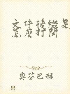 文件后缀是ai怎么打开