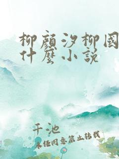 柳颜汐柳国安是什么小说