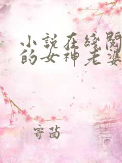 小说在线阅读我的女神老婆