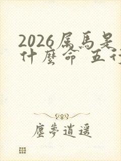 2026属马是什么命 五行属什么
