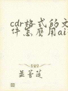 cdr格式的文件怎么用ai打开