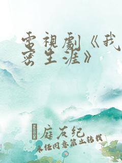 电视剧《我的绝密生涯》