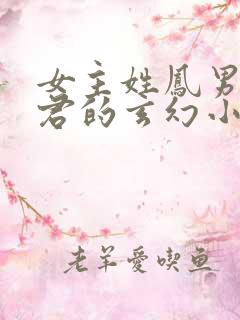 女主姓凤男主姓君的玄幻小说