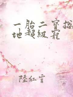 一胎二宝总裁爹地超级宠