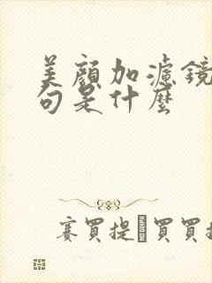 美颜加滤镜下一句是什么