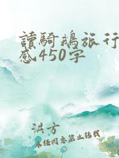 读骑鹅旅行记有感450字