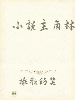 小说主角林辰