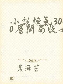 小说炼气3000层开局收女帝为徒那里可以看