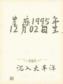 农历1995年12月02日生辰八字