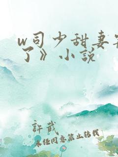 w司少甜妻宠定了》小说
