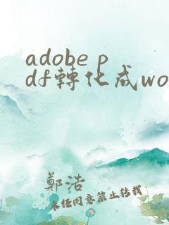 adobe pdf转化成word