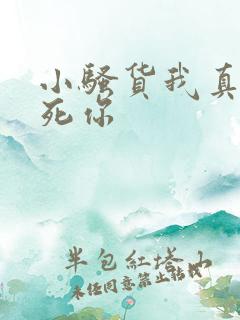 小骚货我真想操死你