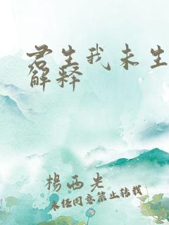君生我未生全诗解释