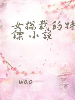 女总裁的特种保镖 小说