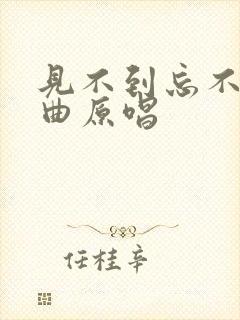 见不到忘不了歌曲原唱