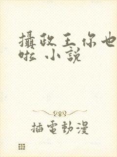 摄政王你也重生啦 小说