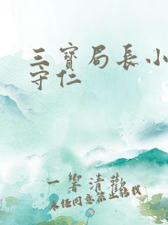 三宝局长小说秦守仁