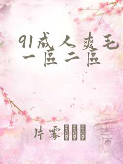 91成人爽毛片一区二区