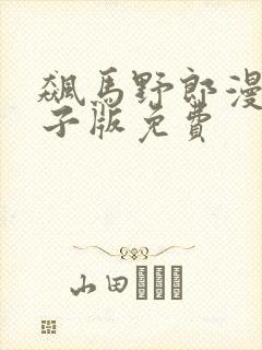 飙马野郎漫画电子版免费